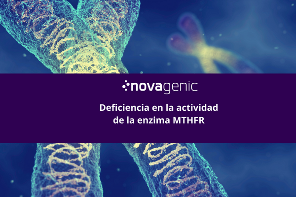 Deficiencia en la actividad de la enzima MTHFR 