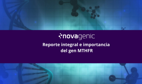 Reporte integral e importancia del gen MTHFR