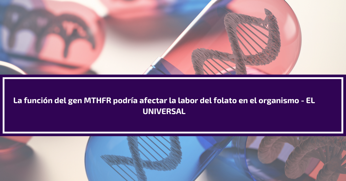  La función del gen MTHFR podría afectar la labor del folato en el organismo